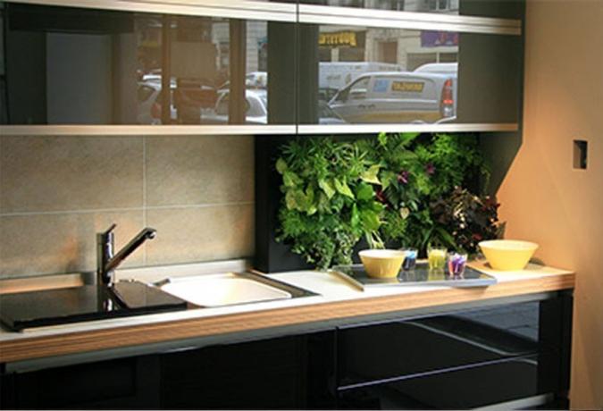 الخضر في المطبخ - أفكار جديدة لاستخدام النباتات المنزلية