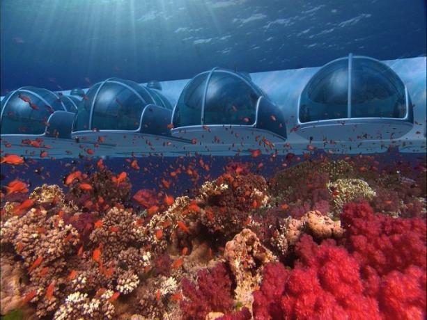 فندق تحت الماء في أرخبيل فيجي. | صور: s-media-cache-ak0.pinimg.com.