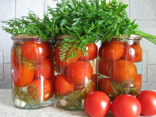 معلبات الطماطم مع الجزر قمم لها نكهة غير عادية. ويستخدم التوضيح لمقال للحصول على ترخيص القياسية © ofazende.ru