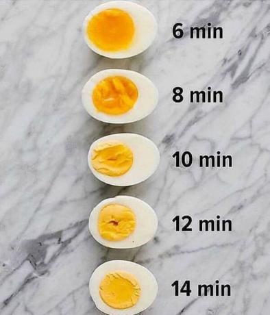 البيض المسلوق في أشكال مختلفة. | صور: InstaHats.