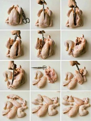 كيفية خفض الذبيحة الدجاج. | الصورة: موقع Pinterest.
