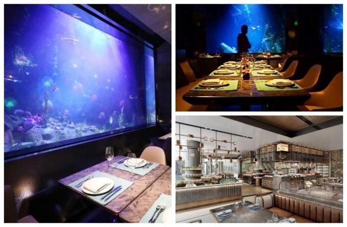 مطعم تحت الماء السيد فيشر فندق إنتركونتيننتال سونغ جيانغ.