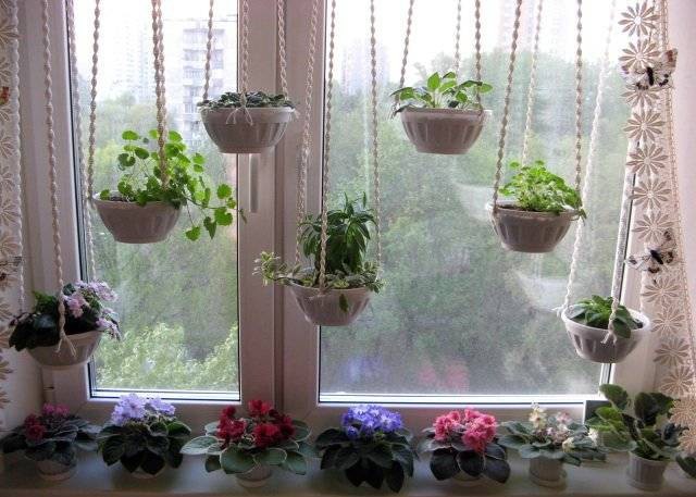 زخرفة النوافذ الأصلية بالنباتات