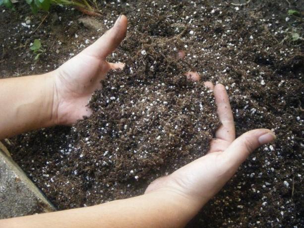 ما الأسمدة يجب أن تطبق على التربة في الربيع للحصول على محصول جيد