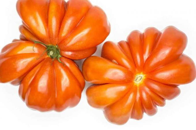 الطماطم (البندورة) "قلب الصاعد" تصوير النشر يستخدم من قبل الترخيص القياسية © ofazende.ru