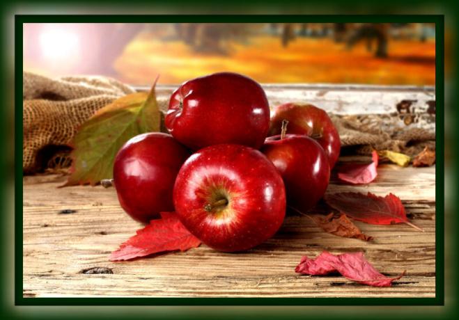 كيفية الحفاظ على التفاح جديدة لفصل الشتاء في المنزل
