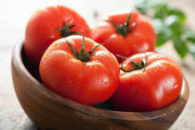 الطماطم الحصاد. ويستخدم التوضيح لمقال للحصول على ترخيص القياسية © ofazende.ru