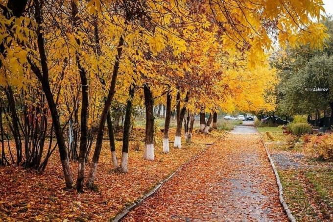 الشهر الأخير من فصل الخريف مختلف تغير الطقس. ويستخدم التوضيح لمقال للحصول على ترخيص القياسية © ofazende.ru