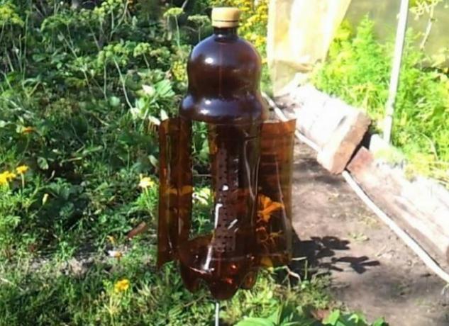 استخدام المفيد من الزجاجات البلاستيكية في الحديقة (الجزء 2)